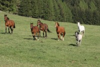 /album/prostor-a-pohyb/img-0447-jpg/