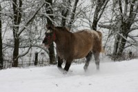 /album/prostor-a-pohyb/img-6077-jpg/