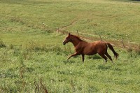 /album/prostor-a-pohyb/img-6556-jpg/