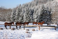 /album/odpocinek/img-6566-jpg/