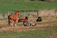 /album/odpocinek/img-8745-jpg/