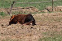 /album/odpocinek/img-8749-jpg/