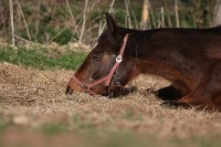 /album/odpocinek/img-8759-jpg/