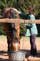 /album/cinnosti/img-0488-jpg/