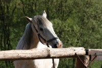 /album/cinnosti/img-0510-jpg/