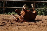 /album/cinnosti/img-6087-jpg/