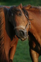 /album/kontakty/img-1784-jpg/