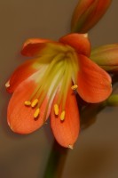 /album/nasi-babicky/img-7576-jpg/