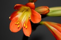 /album/nasi-babicky/img-7580-jpg/