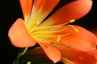 /album/nasi-babicky/img-7698-jpg/