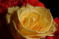 /album/nasi-babicky/img-8165-jpg/